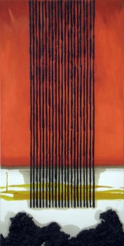 120 x 60 cm