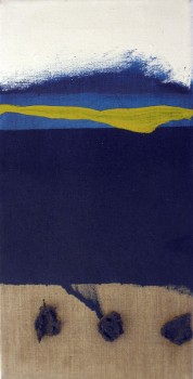 50 x 25 cm