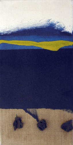50 x 25 cm