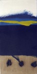 50 x 25 cm
